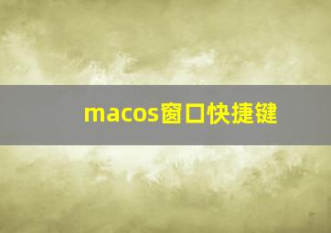 macos窗口快捷键