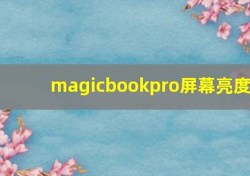 magicbookpro屏幕亮度