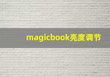 magicbook亮度调节