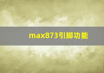 max873引脚功能