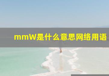 mmW是什么意思网络用语