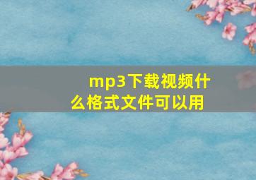 mp3下载视频什么格式文件可以用