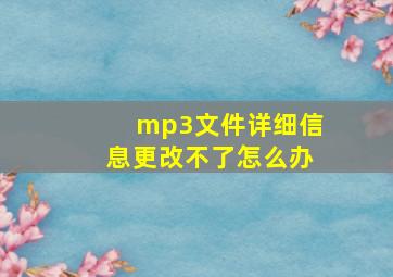 mp3文件详细信息更改不了怎么办