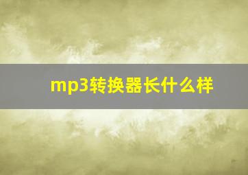 mp3转换器长什么样