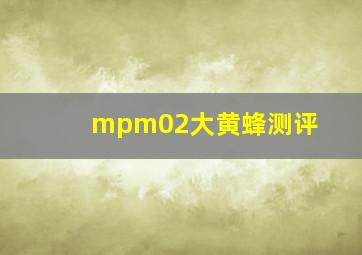 mpm02大黄蜂测评