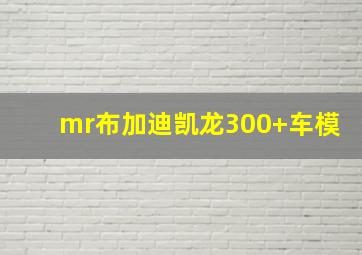 mr布加迪凯龙300+车模