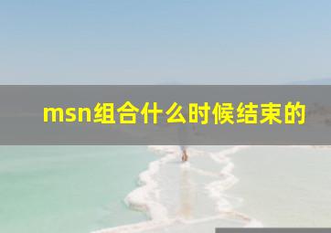 msn组合什么时候结束的