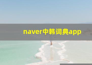 naver中韩词典app