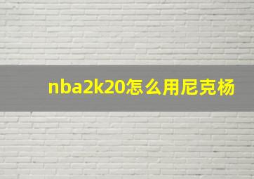 nba2k20怎么用尼克杨