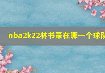 nba2k22林书豪在哪一个球队