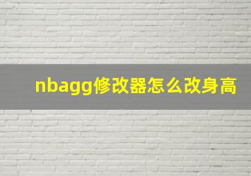 nbagg修改器怎么改身高