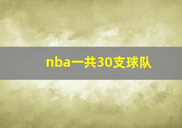 nba一共30支球队