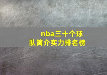 nba三十个球队简介实力排名榜