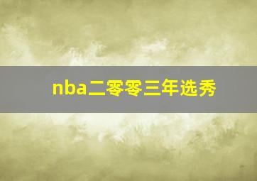 nba二零零三年选秀