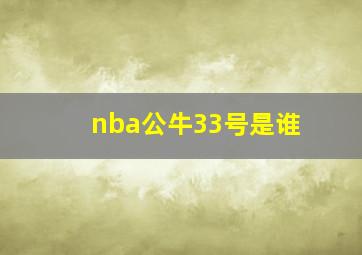 nba公牛33号是谁