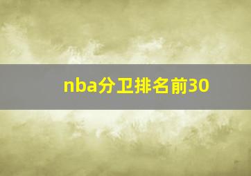 nba分卫排名前30