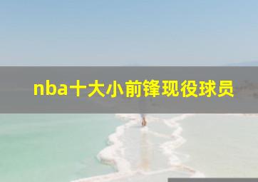 nba十大小前锋现役球员