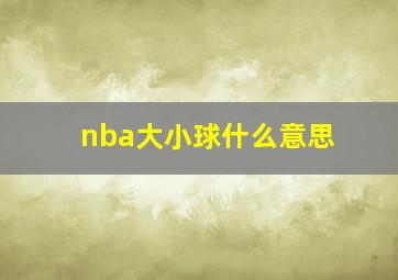 nba大小球什么意思