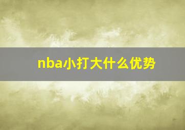 nba小打大什么优势