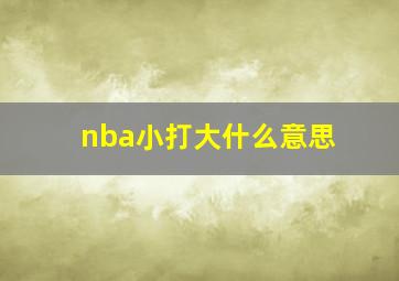 nba小打大什么意思