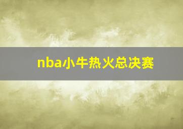 nba小牛热火总决赛