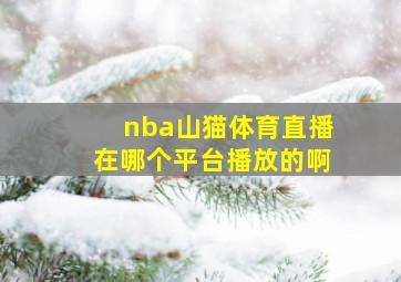 nba山猫体育直播在哪个平台播放的啊