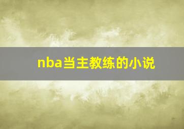 nba当主教练的小说