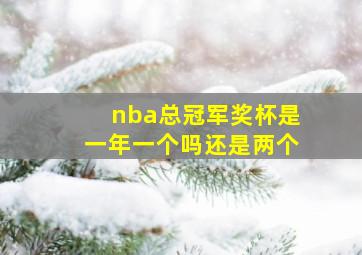 nba总冠军奖杯是一年一个吗还是两个