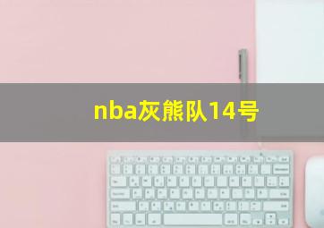 nba灰熊队14号