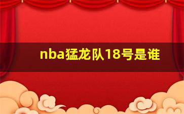 nba猛龙队18号是谁