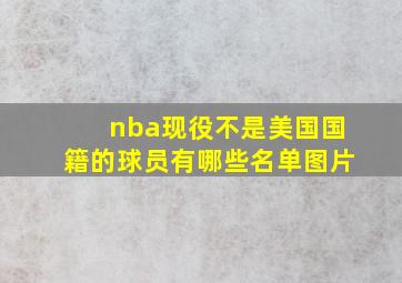 nba现役不是美国国籍的球员有哪些名单图片