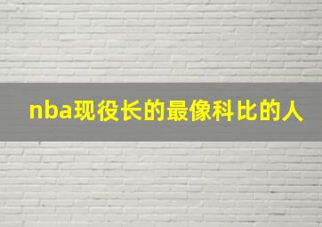 nba现役长的最像科比的人