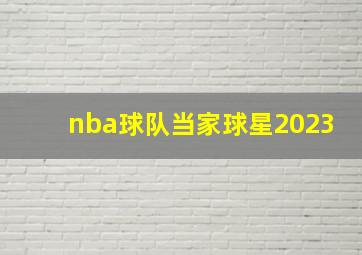 nba球队当家球星2023