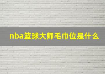 nba篮球大师毛巾位是什么