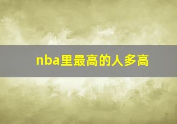 nba里最高的人多高