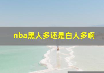 nba黑人多还是白人多啊