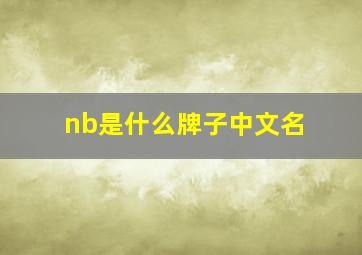 nb是什么牌子中文名