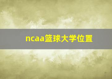 ncaa篮球大学位置