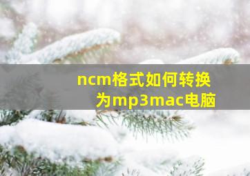 ncm格式如何转换为mp3mac电脑