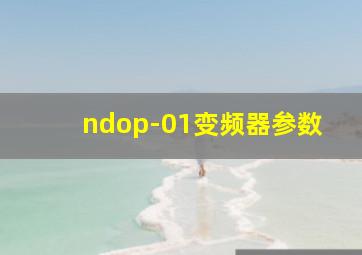 ndop-01变频器参数