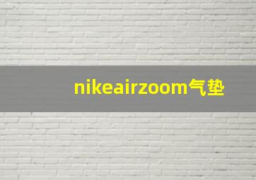 nikeairzoom气垫