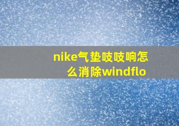 nike气垫吱吱响怎么消除windflo