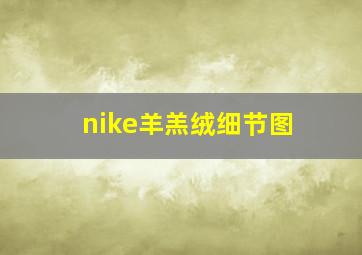 nike羊羔绒细节图