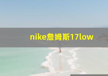 nike詹姆斯17low