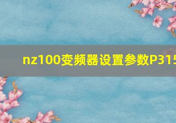 nz100变频器设置参数P315