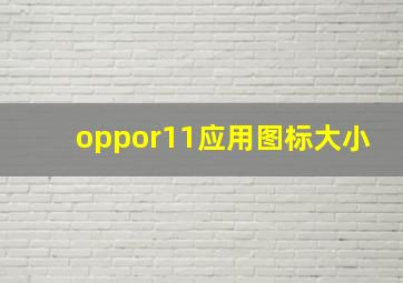 oppor11应用图标大小