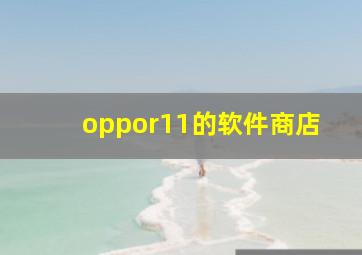 oppor11的软件商店