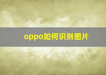 oppo如何识别图片