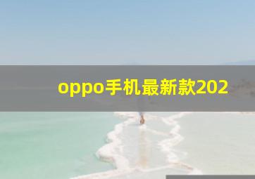 oppo手机最新款202