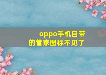 oppo手机自带的管家图标不见了